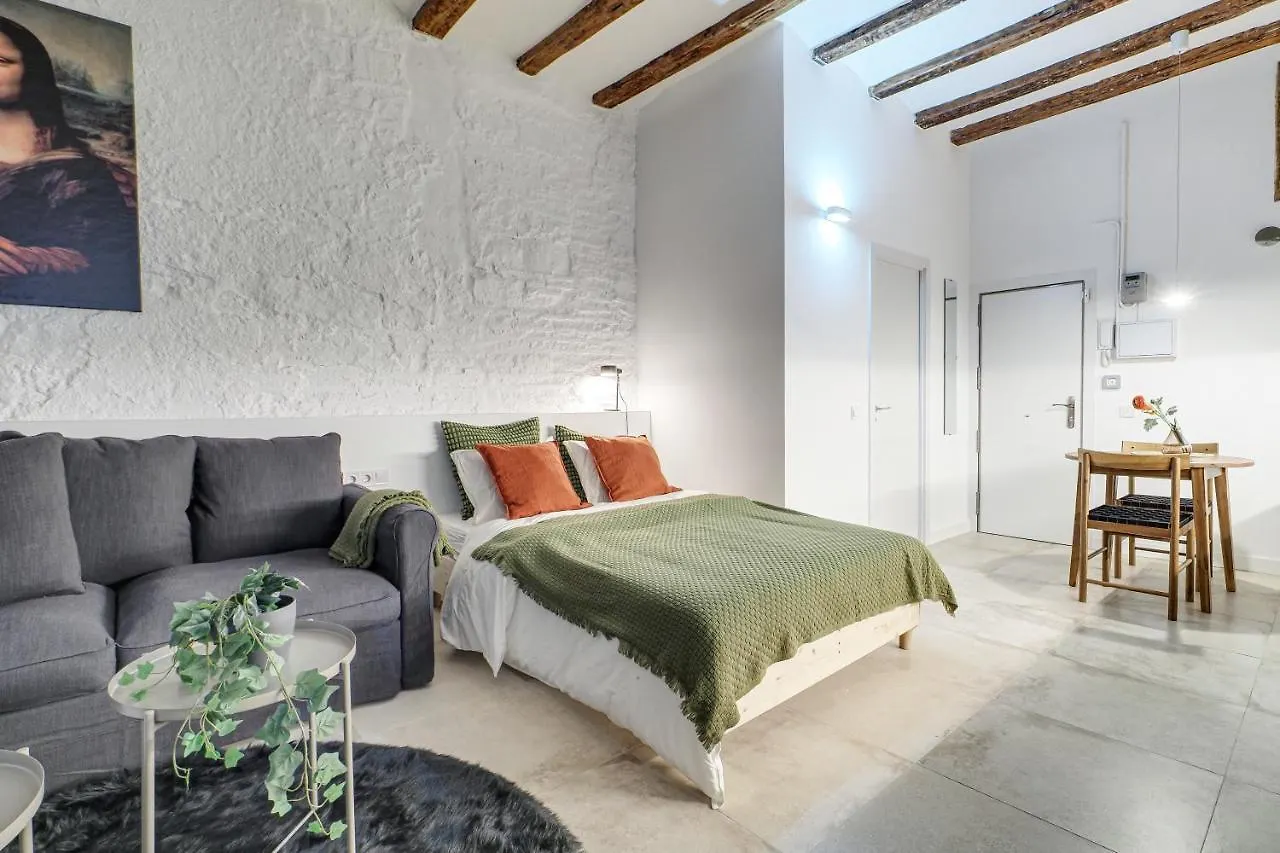 Mr Born Apartment Barcelona