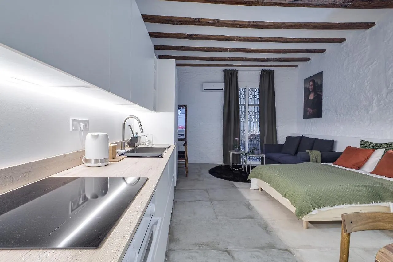 Mr Born Apartment Barcelona Spain