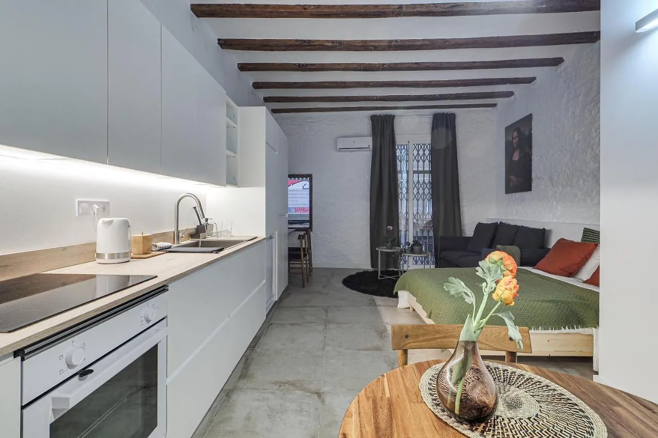 Mr Born Apartment Barcelona Spain